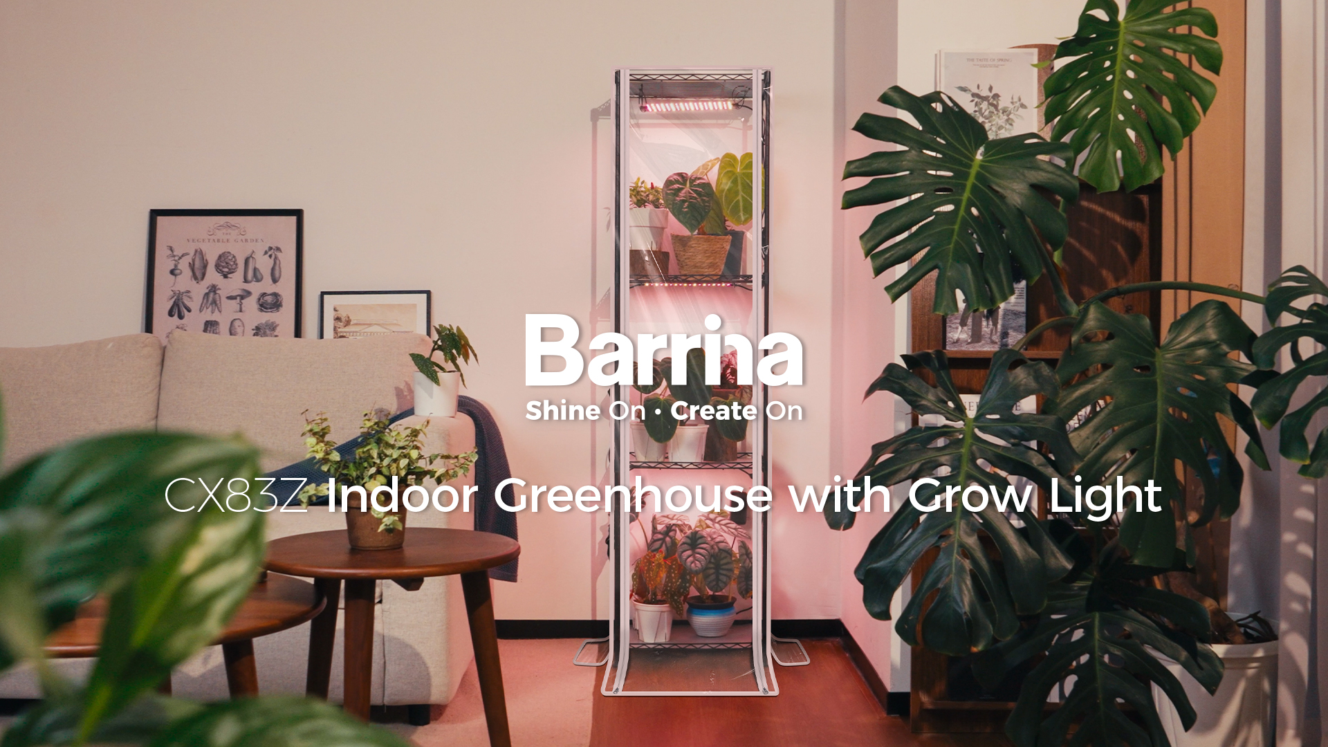 Amazon.com : Barrina CX83Z Indoor Greenhouse with Grow Light, 4